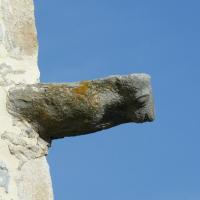 chateau gargouille 2