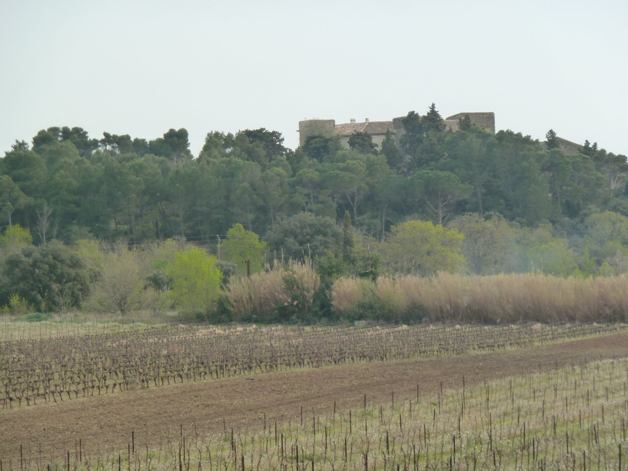 chateau vue de garigue