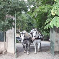 retour de la mairie du village